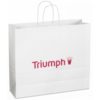 Paper shopping bags with twisted handle